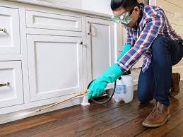 Best Real Estate Pest Inspections  in Jensen Beach, FL